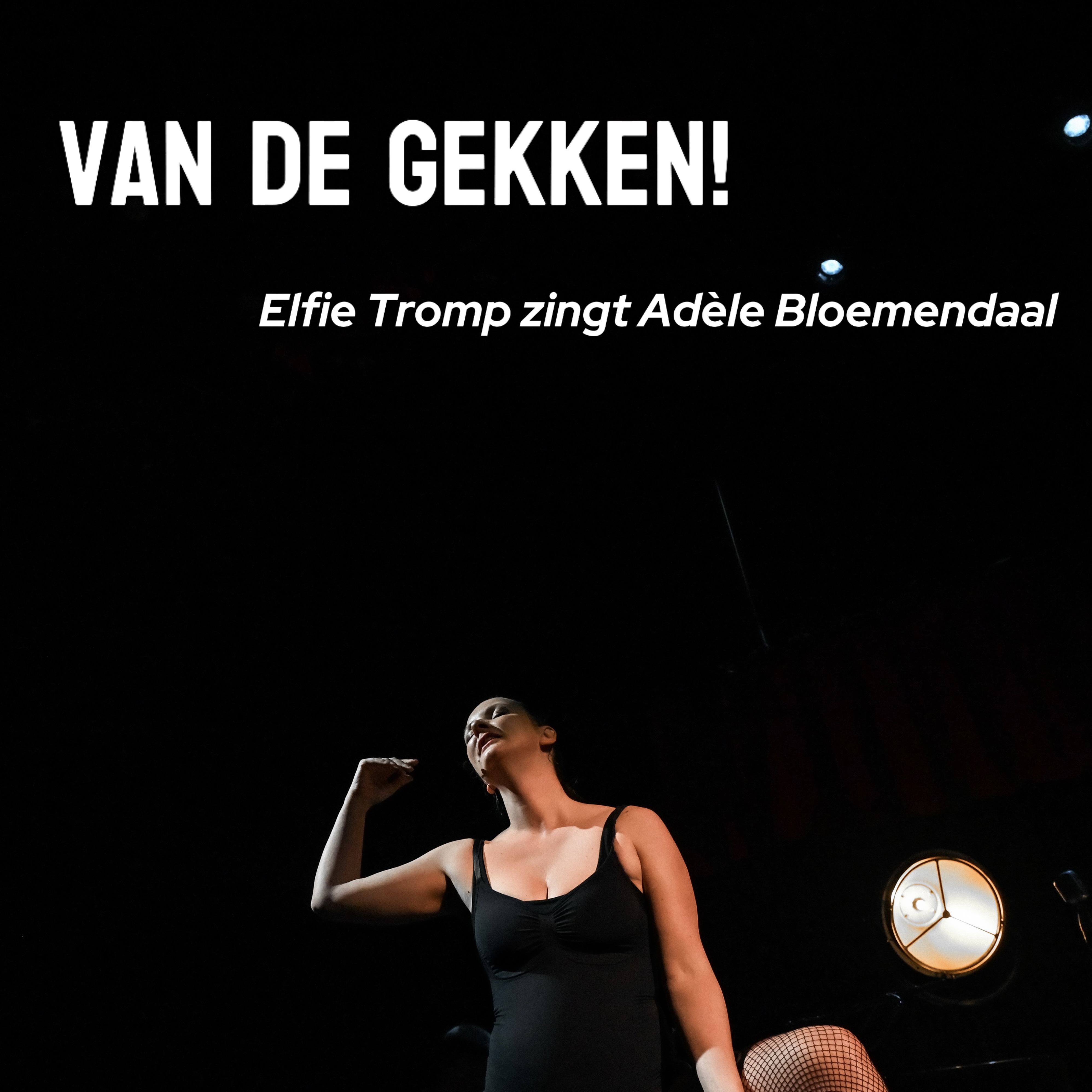 Van de Gekken (EP)